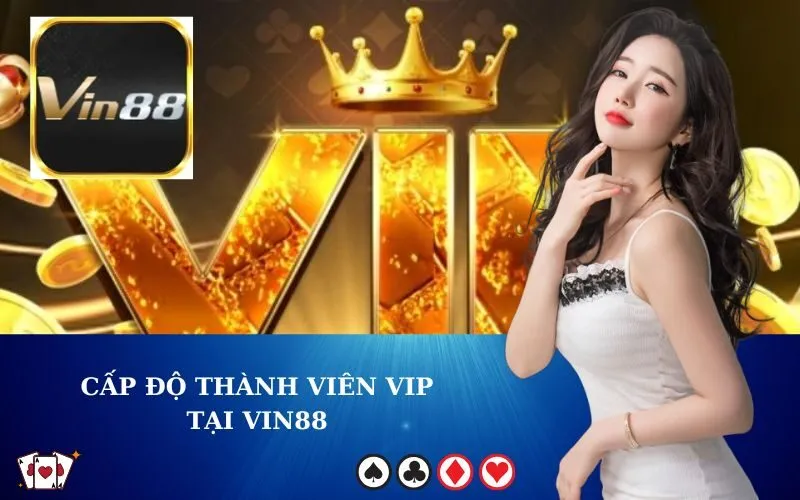 Cấp Độ Thành Viên VIP tại VIN88